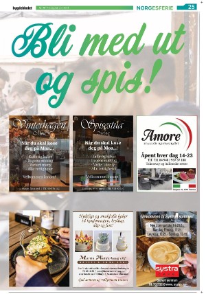 bygdebladet_ves-20210622_000_00_00_025.pdf