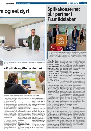 bygdebladet_ves-20210629_000_00_00_013.pdf