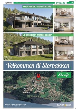 bygdebladet_ves-20210928_000_00_00_013.pdf