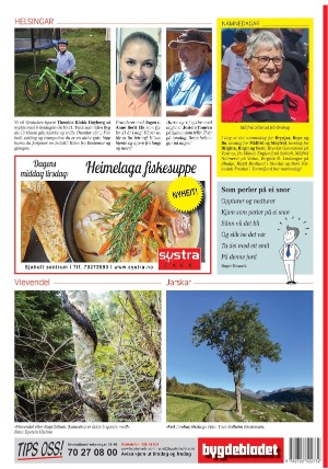 bygdebladet_ves-20211005_000_00_00_028.pdf