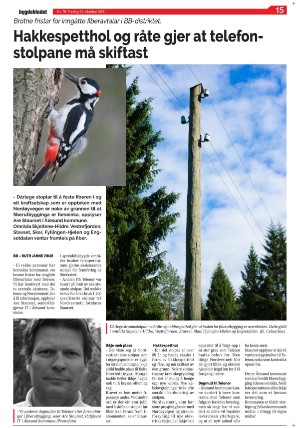 bygdebladet_ves-20211022_000_00_00_015.pdf