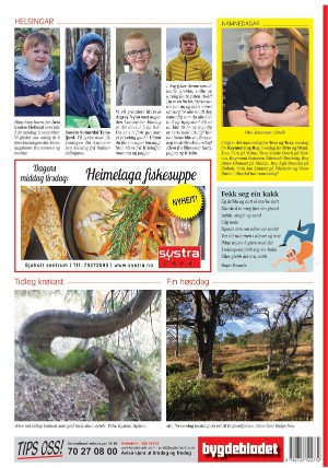 bygdebladet_ves-20211102_000_00_00_028.pdf