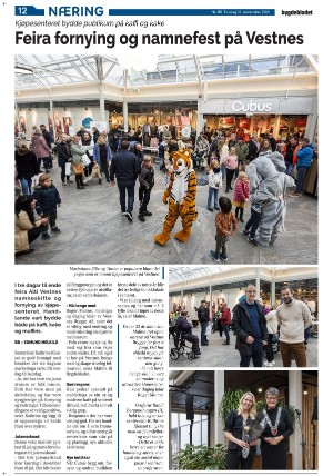 bygdebladet_ves-20211116_000_00_00_012.pdf