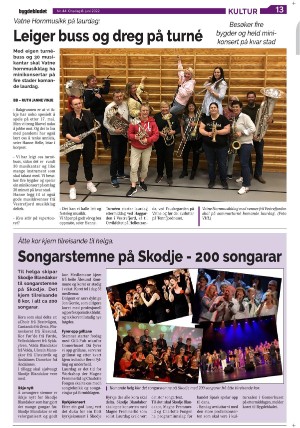 bygdebladet_ves-20220608_000_00_00_013.pdf