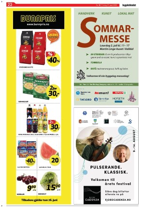 bygdebladet_ves-20220621_000_00_00_022.pdf