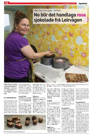 bygdebladet_ves-20220624_000_00_00_038.pdf