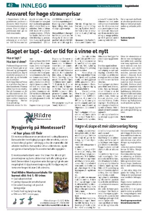 bygdebladet_ves-20220826_000_00_00_042.pdf