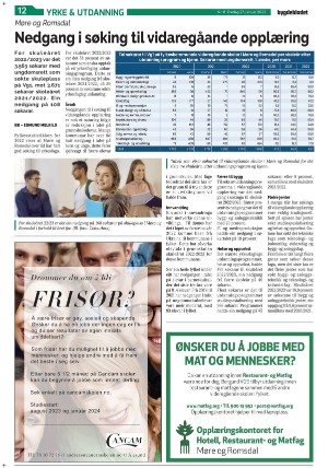 bygdebladet_ves-20230127_000_00_00_012.pdf