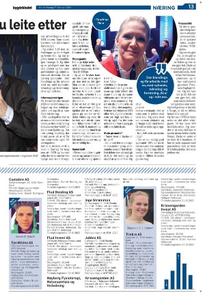 bygdebladet_ves-20230217_000_00_00_013.pdf