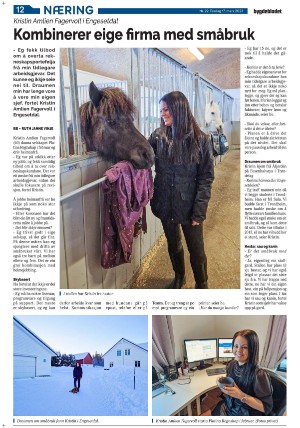 bygdebladet_ves-20230317_000_00_00_012.pdf
