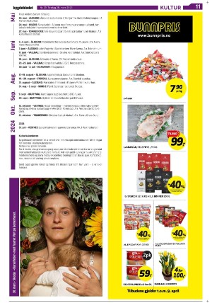 bygdebladet_ves-20230328_000_00_00_011.pdf