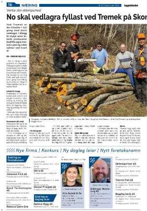 bygdebladet_ves-20230421_000_00_00_016.pdf