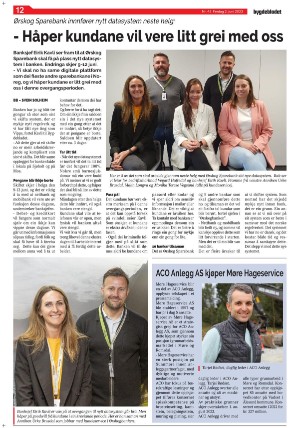 bygdebladet_ves-20230602_000_00_00_012.pdf