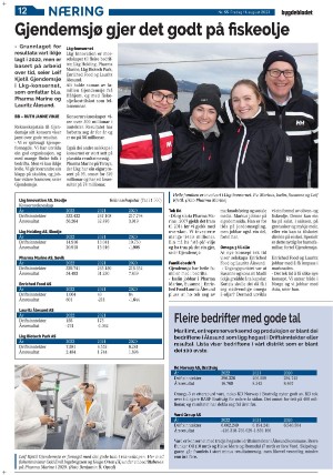 bygdebladet_ves-20230811_000_00_00_012.pdf