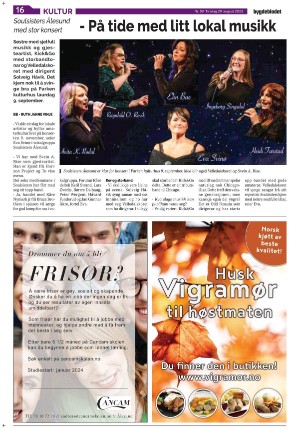 bygdebladet_ves-20230829_000_00_00_016.pdf