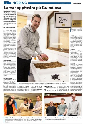 bygdebladet_ves-20240112_000_00_00_012.pdf