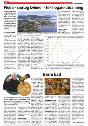 bygdebladet_ves-20250603_000_00_00_014.pdf