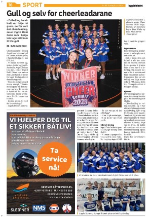 bygdebladet_ves-20250603_000_00_00_016.pdf