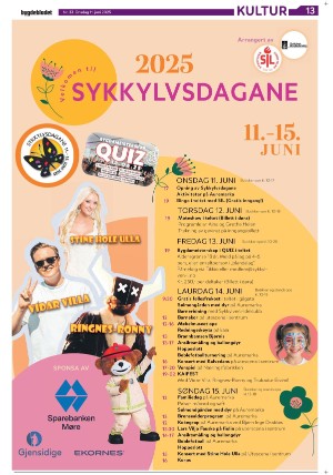 bygdebladet_ves-20250611_000_00_00_013.pdf