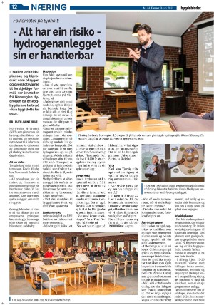 bygdebladet_ves-20250613_000_00_00_012.pdf