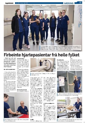 bygdebladet_ves-20250701_000_00_00_011.pdf