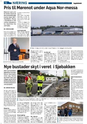 bygdebladet_ves-20250822_000_00_00_012.pdf
