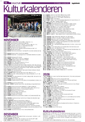 bygdebladet_ves-20251111_000_00_00_014.pdf