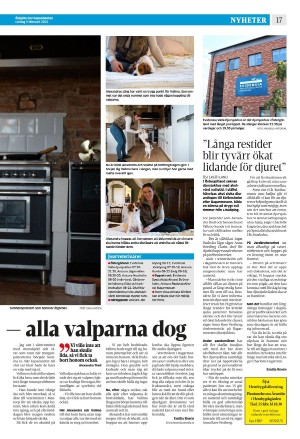 corren-20220205_000_00_00_017.pdf