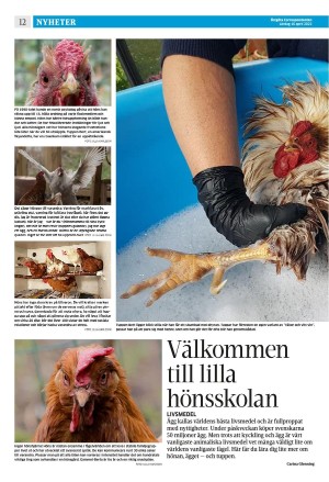 corren-20220416_000_00_00_012.pdf