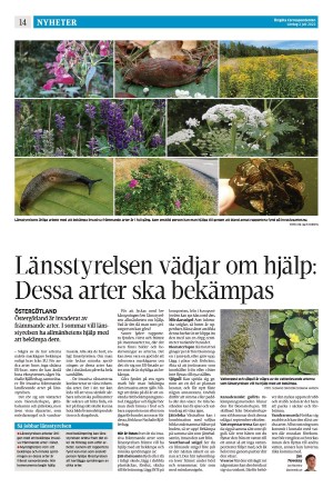 corren-20220702_000_00_00_014.pdf