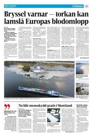 corren-20220815_000_00_00_023.pdf