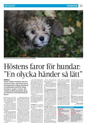 corren-20221101_000_00_00_011.pdf