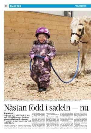 corren-20240208_000_00_00_016.pdf