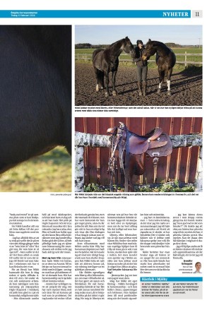 corren-20240213_000_00_00_011.pdf