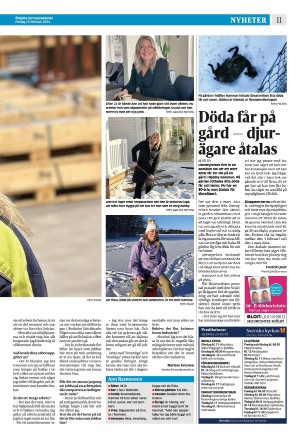 corren-20240223_000_00_00_011.pdf