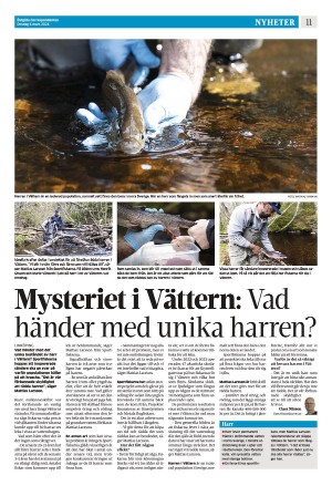 corren-20240306_000_00_00_011.pdf
