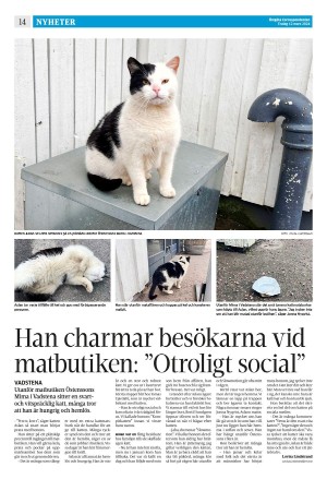 corren-20240312_000_00_00_014.pdf