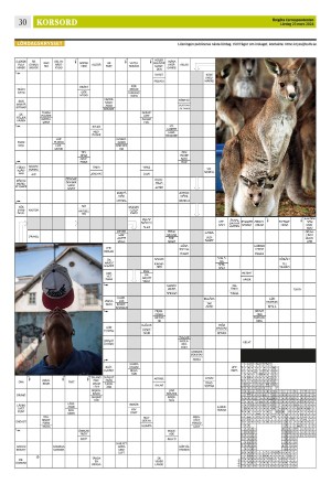 corren-20240323_000_00_00_030.pdf