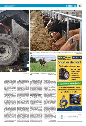corren-20240413_000_00_00_019.pdf