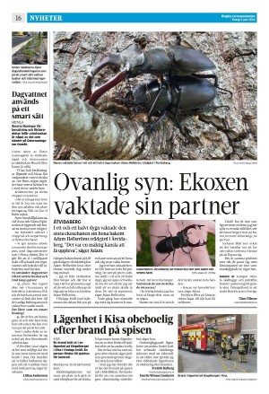 corren-20240604_000_00_00_016.pdf