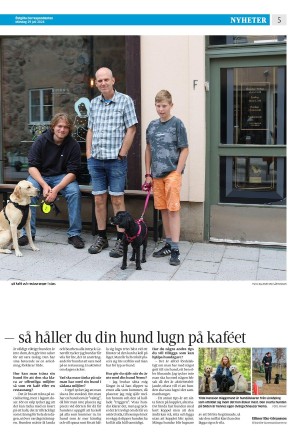 corren-20240729_000_00_00_005.pdf