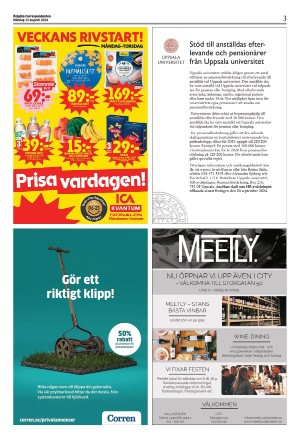 corren-20240812_000_00_00_003.pdf