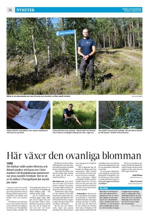 corren-20240821_000_00_00_016.pdf