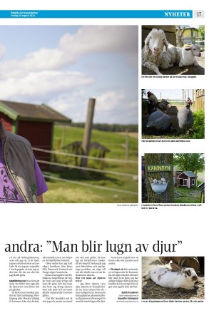 corren-20240830_000_00_00_017.pdf