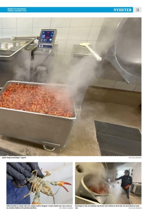 corren-20240902_000_00_00_011.pdf