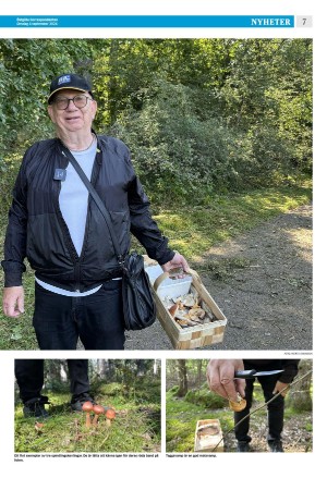 corren-20240904_000_00_00_007.pdf