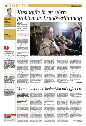 corren-20240904_000_00_00_018.pdf