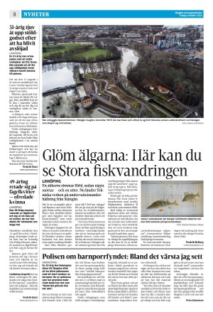 corren-20241008_000_00_00_008.pdf