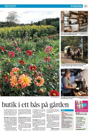 corren-20241016_000_00_00_015.pdf