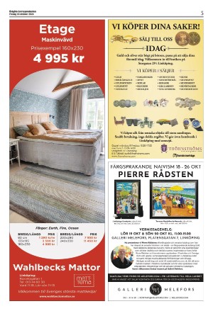 corren-20241018_000_00_00_005.pdf